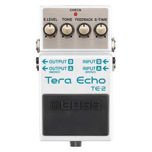 TE-2 Tera Echo