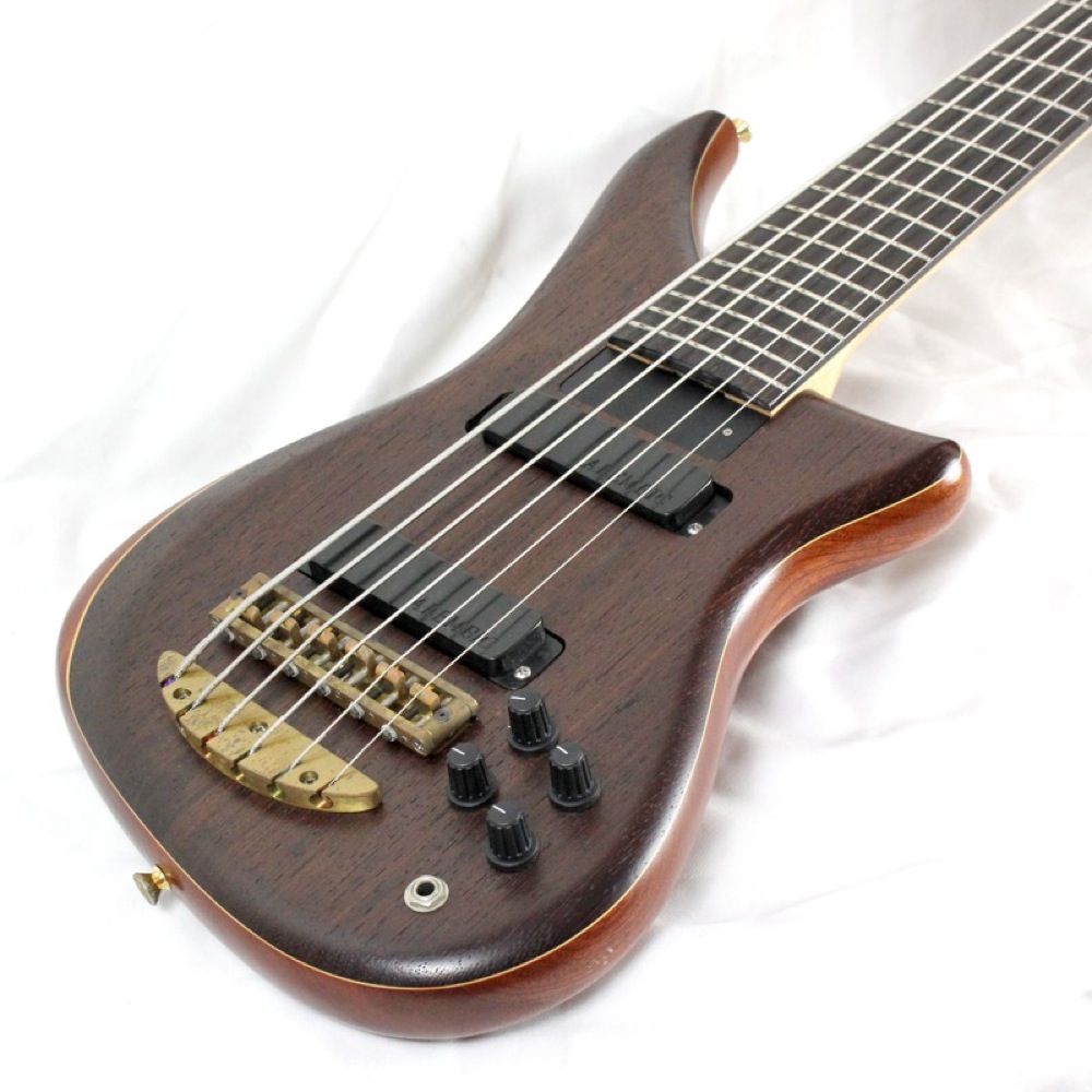 ALEMBIC The Epic 6 String Electric Bass guitar w/Hardshell case eBay