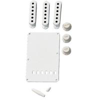 Fender Vintage-Style Stratocaster Accessory Kit - Aged White エイジドホワイト アクセサリーキット