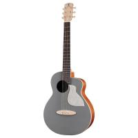 aNueNue Bird Guitar aNN-MC10-QS ミニアコースティックギター