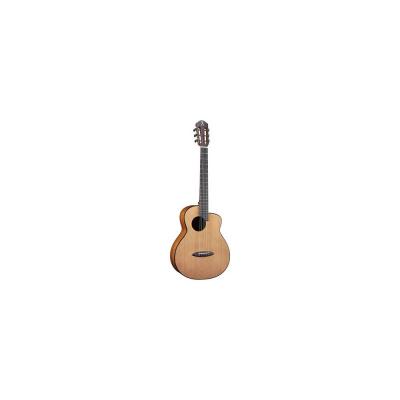 aNueNue Bird Guitar aNN-MV114E ミニアコースティックギター