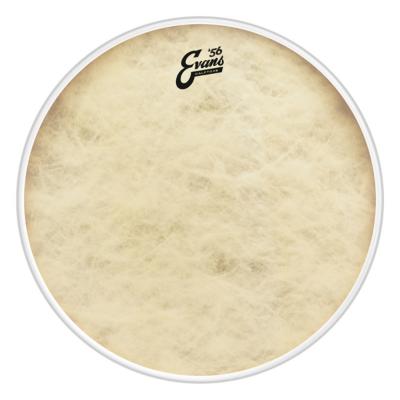 EVANS BD22CT ’56 - Calftone Bass バスドラムヘッド