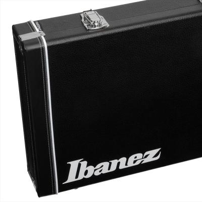 IBANEZ ILS1-WH ロゴステッカー ハードケースに貼った画像