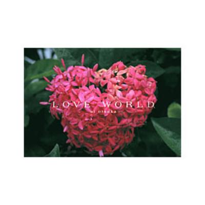 SHINKO MUSIC 大塚愛作品集 「LOVE WORLD」