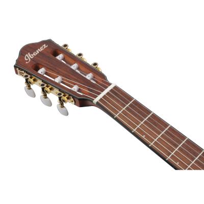IBANEZ アイバニーズ FRH10N-RGF Nylon Electric Guitar RGF ナイロン弦 エレガットギター ヘッド画像