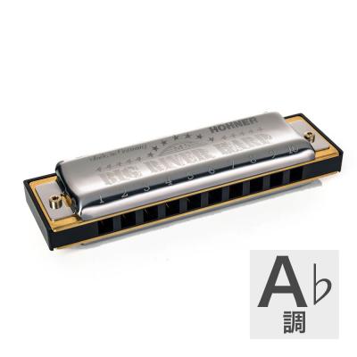HOHNER ホーナー Big River Harp MS SERIES 590/20P A♭ 10ホールハーモニカ ブルースハープ