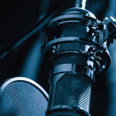 LAUTEN AUDIO ローテンオーディオ LT-386 EDEN コンデンサーマイク 使用イメージ