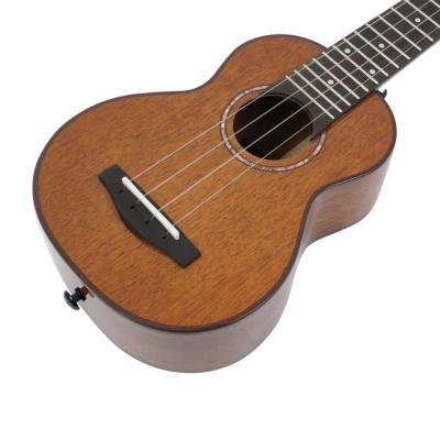 Real Sun リアルサン RS-AS100 RealSun Ukulele Mahogany Sop ソプラノウクレレ ボディ