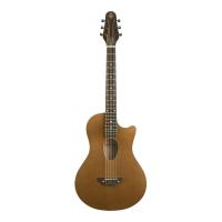 BambooInn BambooInn-C フォーク弦タイプ アコースティックギター