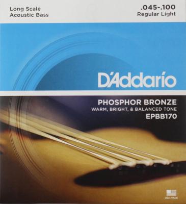D'Addario EPBB170/Phopshor Bronze Acoustic Bass アコースティックベース弦