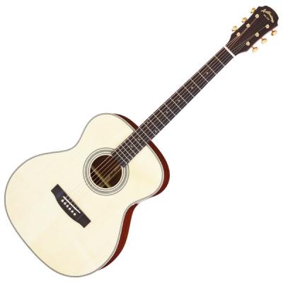 ARIA AF-501 N アコースティックギター