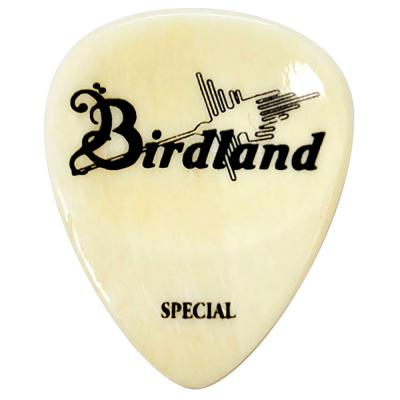 Birdland Buffalo Special Pick Bone ギターピック×2枚