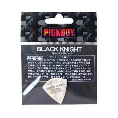 PICK BOY GP-AS/BLK1 BLACK KNIGHT ×2枚 ピック
