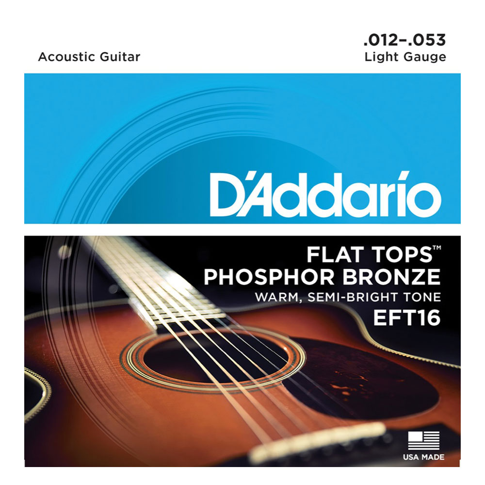 D'Addario EFT16 Flat Top Phosphor Bronze Wound Regular Light アコースティックギター弦