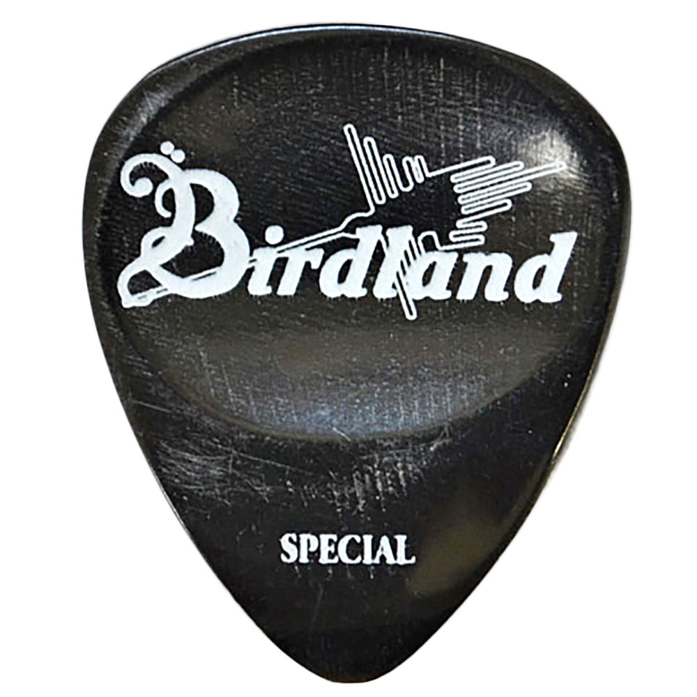 Birdland Buffalo Special Pick Horn ギターピック