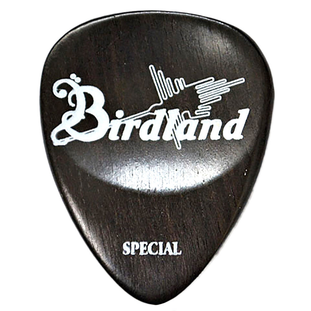 Birdland Ebony Special Pick ギターピック
