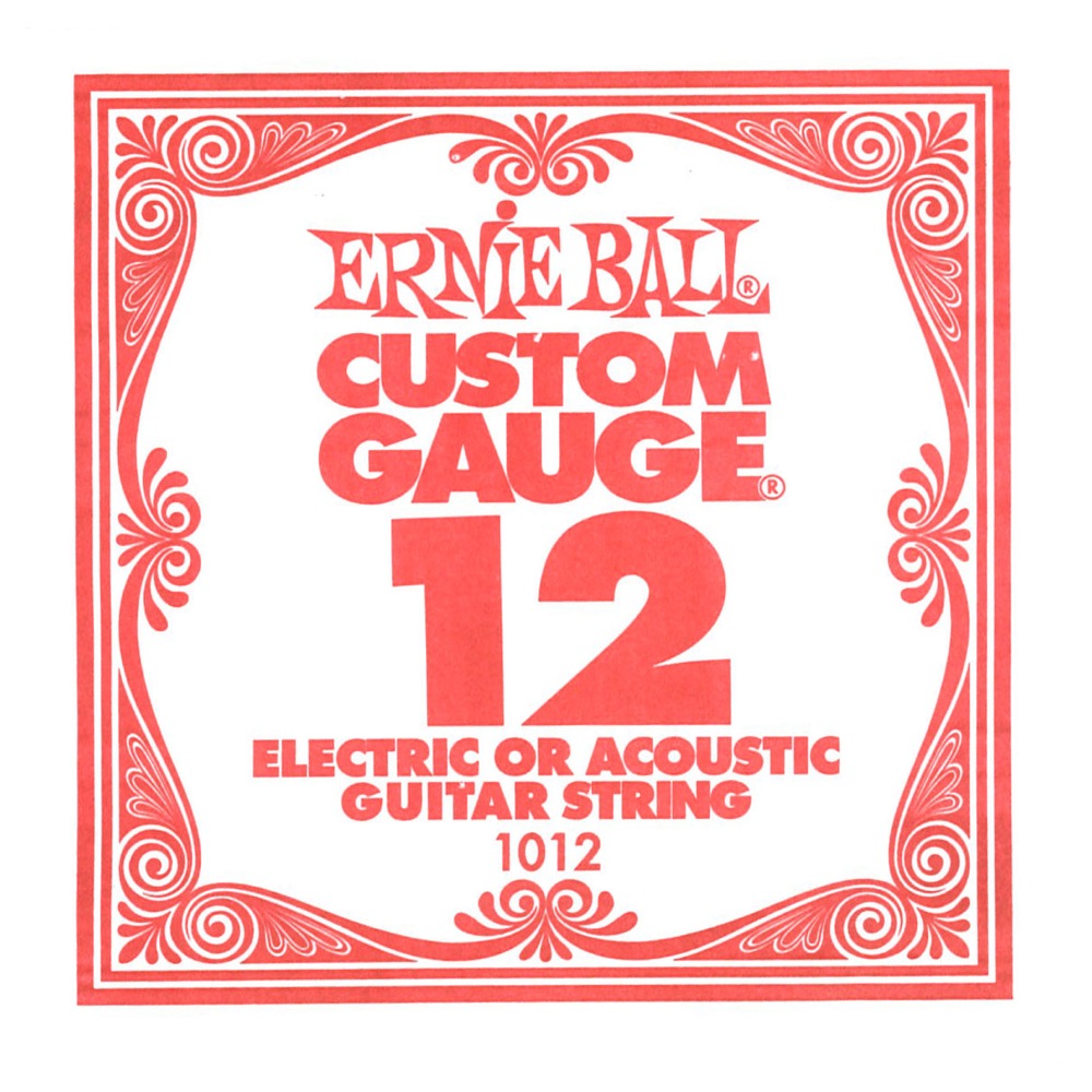 ERNIE BALL 1012 PLAIN STEEL 012 ギター用バラ弦