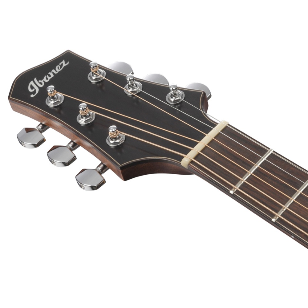 IBANEZ PA300E-NSL エレクトリックアコースティックギター ヘッド画像