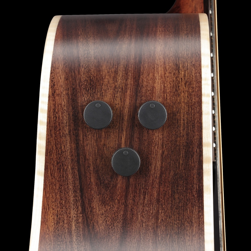 IBANEZ PA300E-NSL エレクトリックアコースティックギター コントロール部画像
