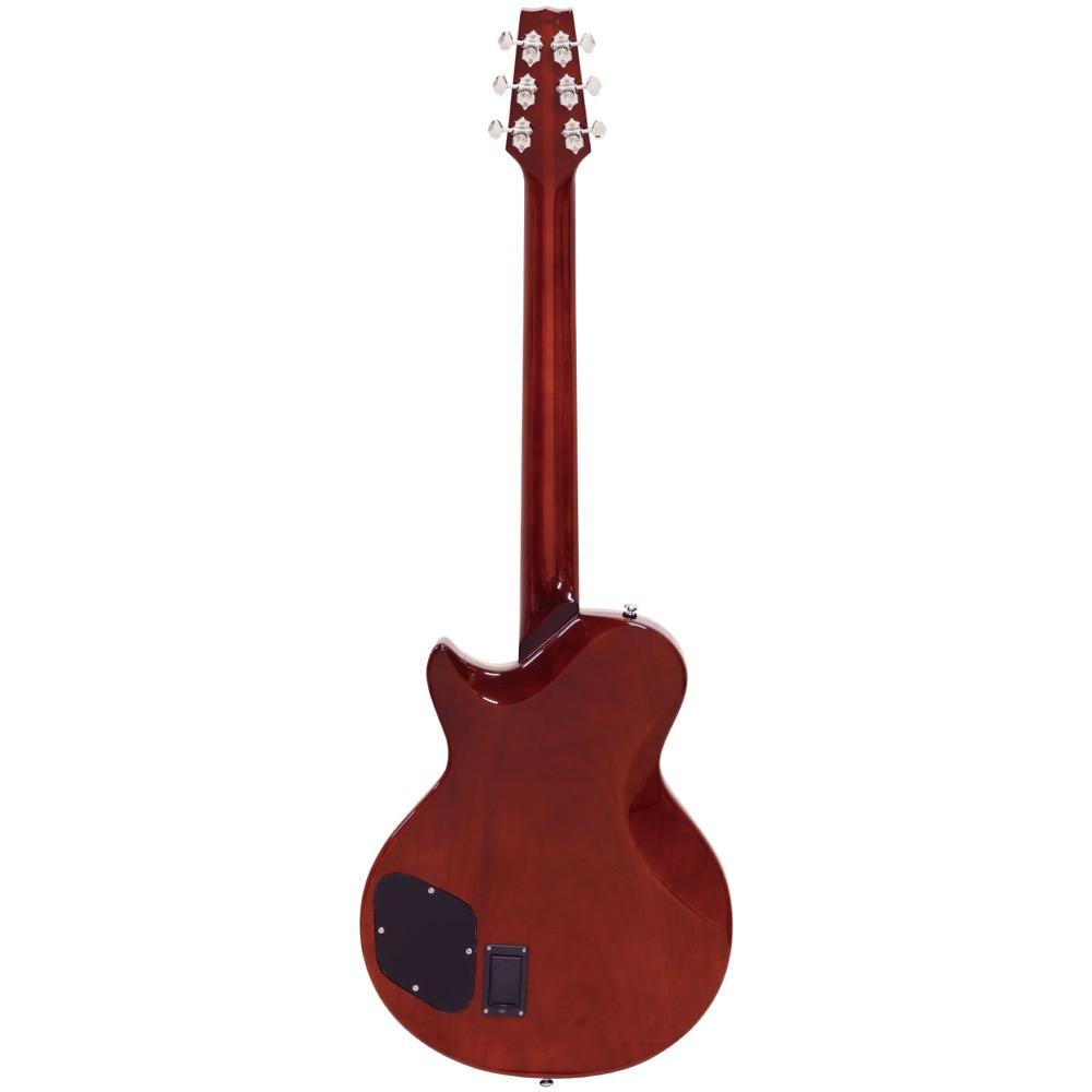 MD-MM Produce SE-01 F AVC エレクトリッククラシックギター 背面