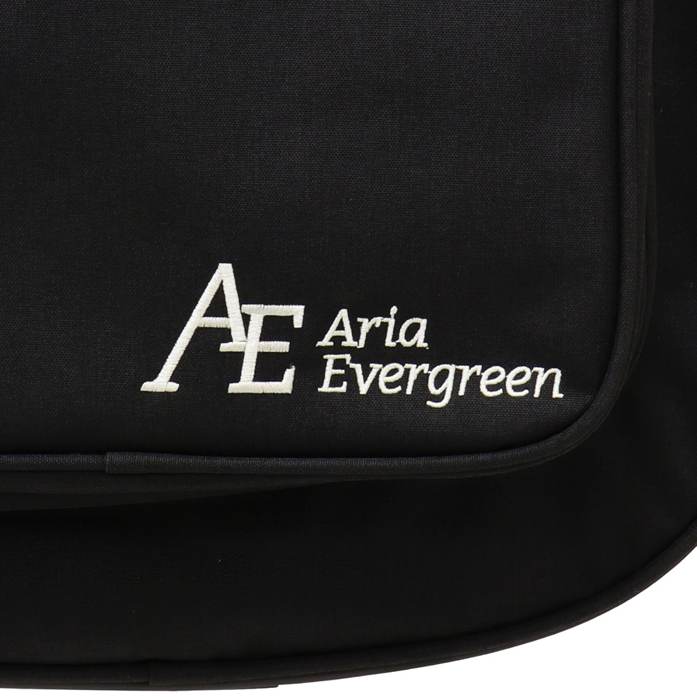 AriaProII STB-AE200 BKDM Aria Evergreen エレキベース シリーズロゴ画像