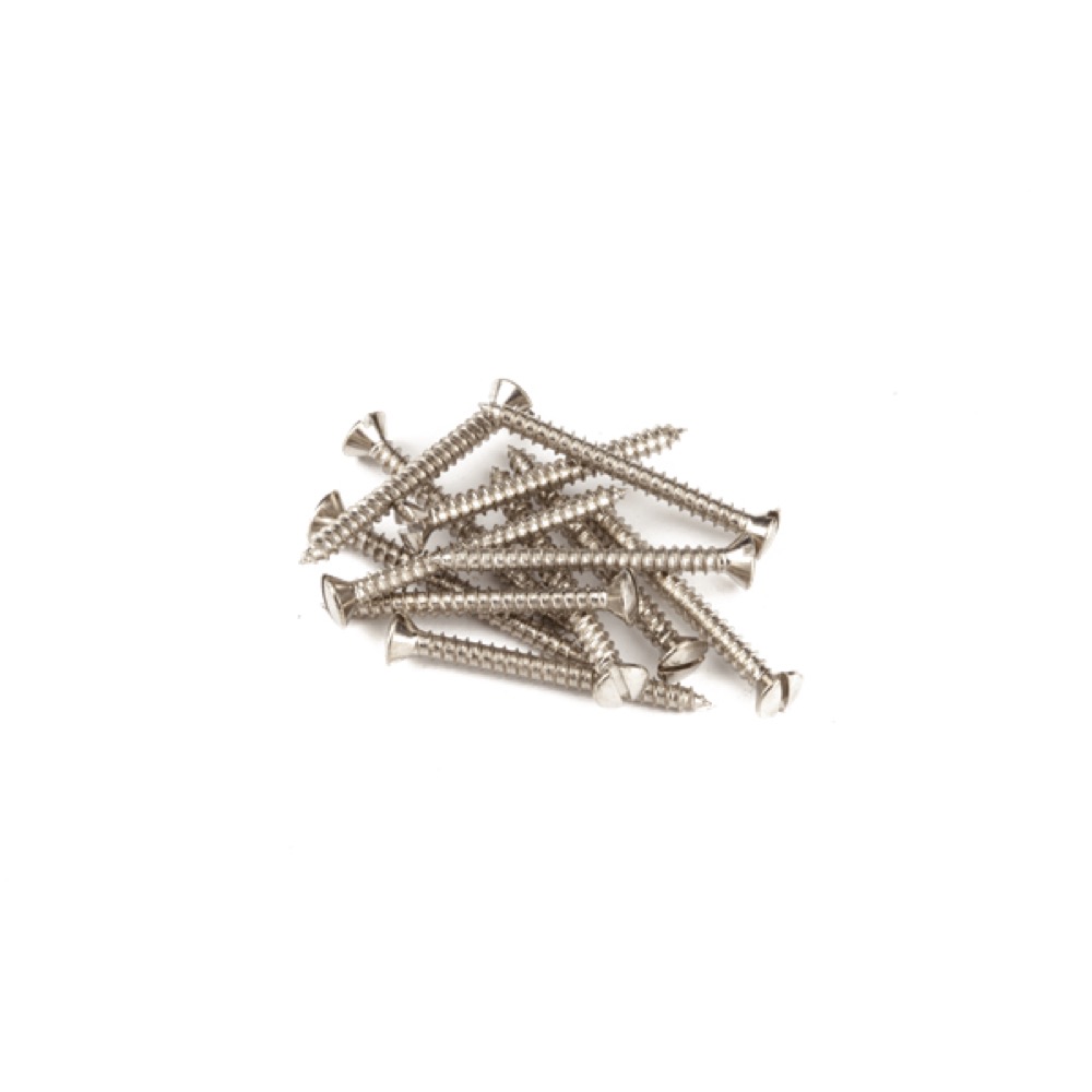Fender フェンダー Pure Vintage Slotted Telecaster Neck Mounting Screws Nickel ネックセット用ネジ 12コ入り