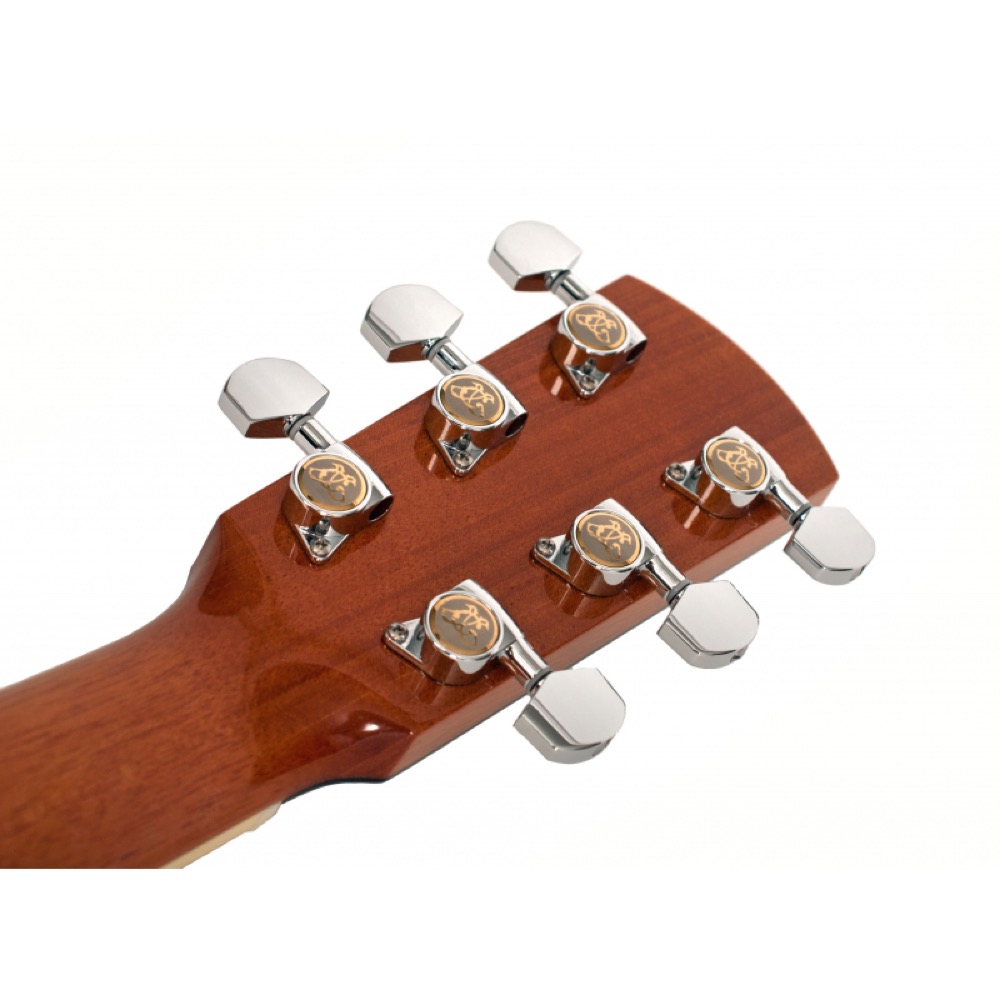 Larrivee ラリビー LV-10 Deluxe Series アコースティックギター 詳細画像