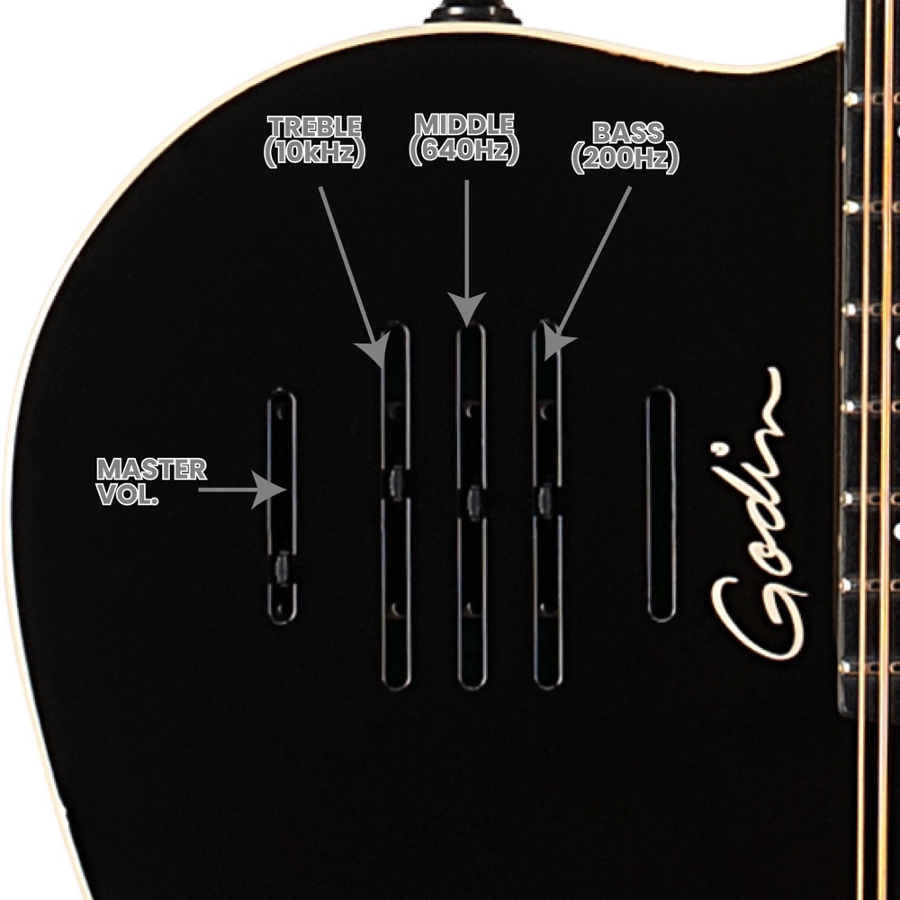 Godin ゴダン A12 Black HG 12弦 エレクトリックアコースティックギター コントロール詳細画像