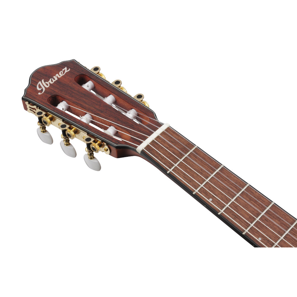 IBANEZ アイバニーズ FRH10N-IBF Nylon Electric Guitar IBF ナイロン弦 エレガットギター ヘッド画像