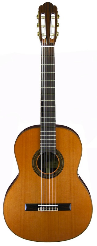クラシックギター ARIA A-50C-63 ハードケース付き