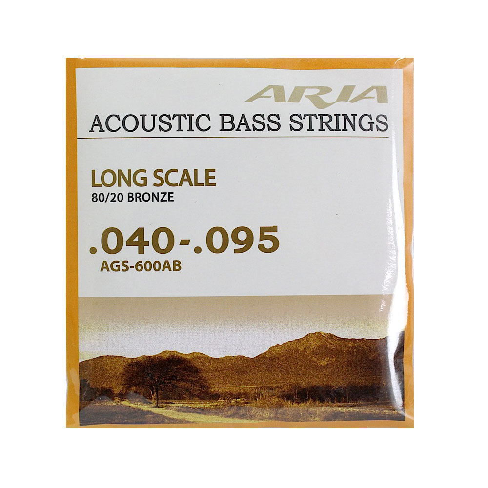 ARIA AGS-600AB アコースティックベース弦