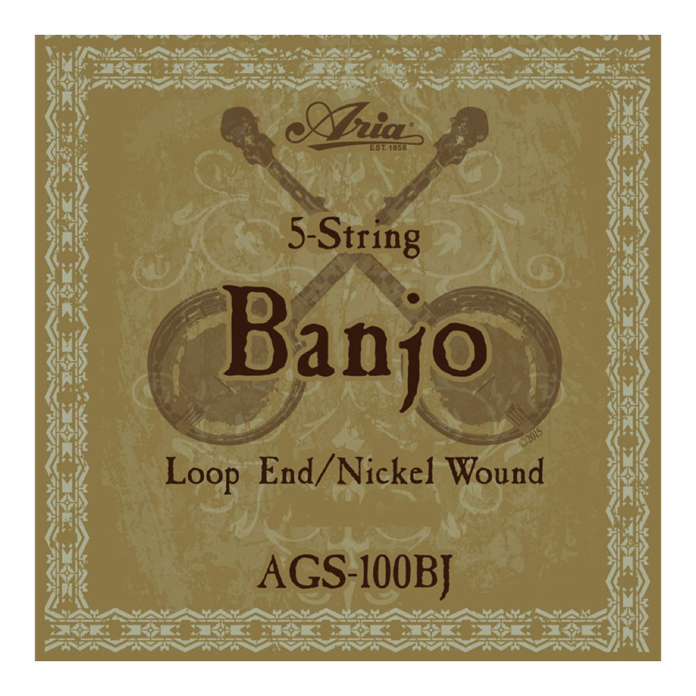 ARIA AGS-100BJ Banjo バンジョー弦