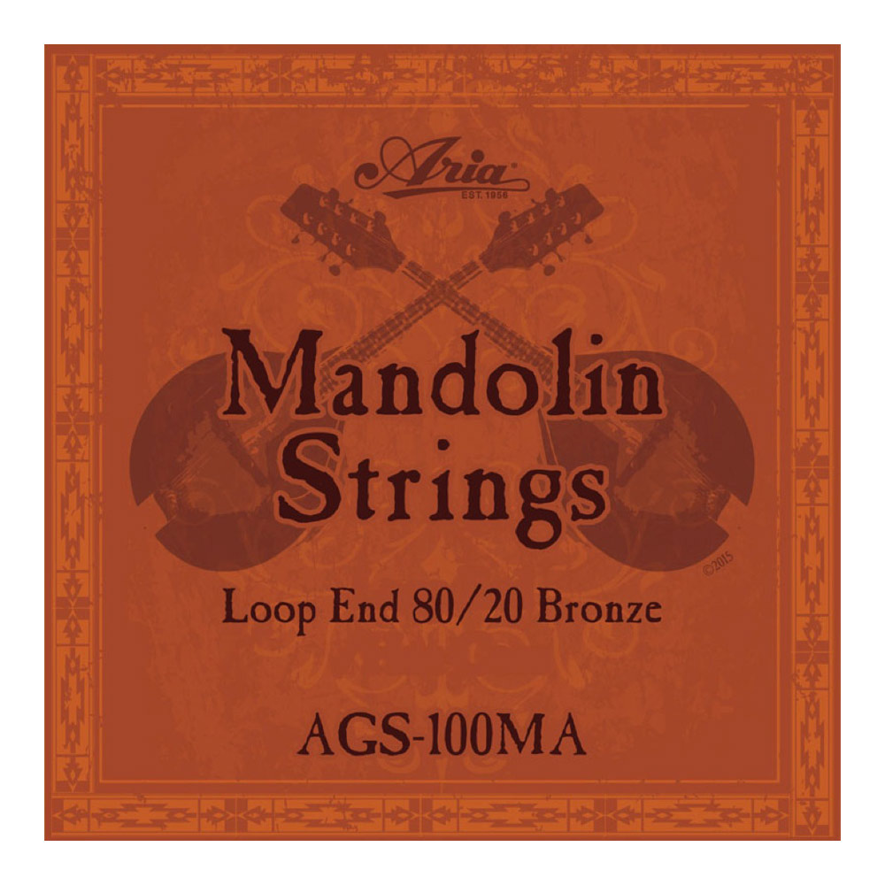 ARIA AGS-100MA Mandolin マンドリン弦