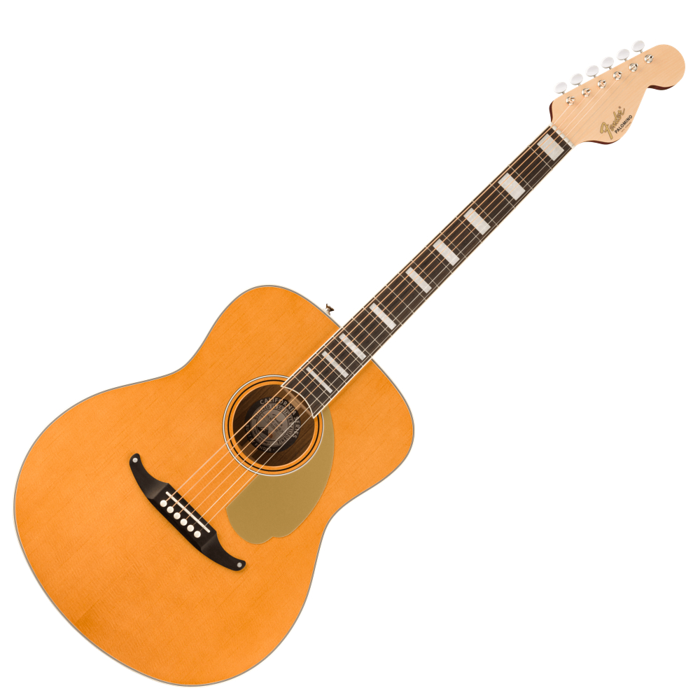 Fender フェンダー PALOMINO VINTAGE Aged Natural エレクトリックアコースティックギター 入門9点 初心者セット ギター本体画像
