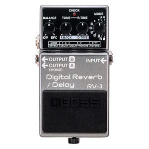 RV-3 Digital Reverb/Delay