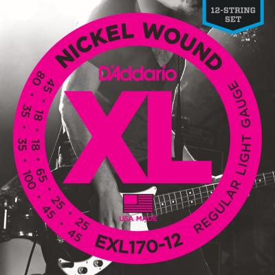 D'Addario EXL170-12 12st/Long 018-100 ベース弦