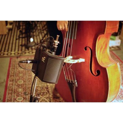 sE ELECTRONICS guitaRF リフレクションフィルター 使用例