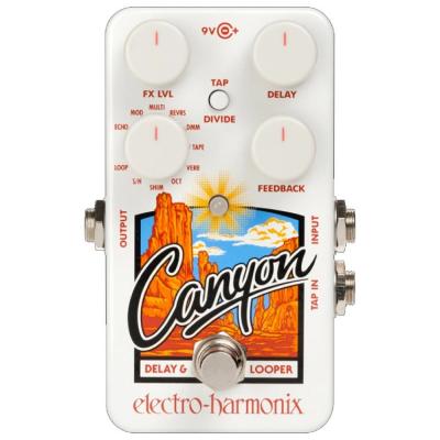 ELECTRO-HARMONIX Canyon Delay & Loopers ディレイ・ルーパー