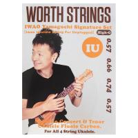 Worth Strings IU IWAO Unplugged High-G ウクレレ弦