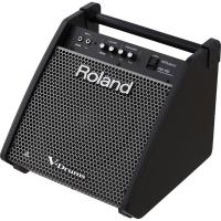 ROLAND PM-100 Personal Monitor パーソナルモニタースピーカー