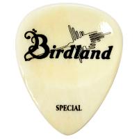 Birdland Buffalo Special Pick Bone ギターピック