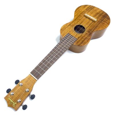 Famous FS-8LN ソプラノウクレレ 全体像