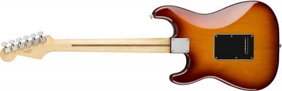 Fender Player Stratocaster HSH PF TBS フェンダー プレイヤー ストラトキャスター タバコサンバースト パーフェロ指板 背面