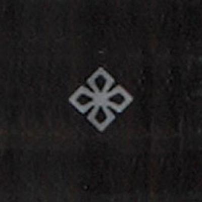 フレットインレイ画像