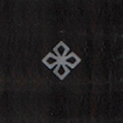 フレットインレイ画像