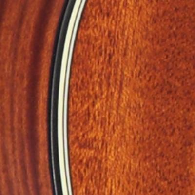 バインディング画像