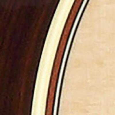 バインディング画像