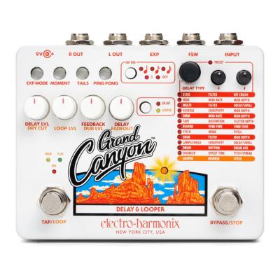 ELECTRO-HARMONIX Grand Canyon Delay & Loopers ディレイ・ルーパー