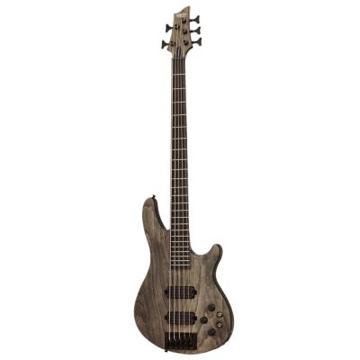 SCHECTER C-5 APOCALYPSE AD-C-5-APOC RG 5弦 エレキベース