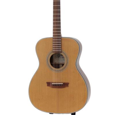 Seed by Sago S1000-TS アコースティックギター